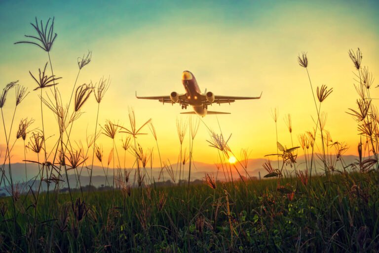 Enjoy your one time life line travelling with your favorite ones 1 plane travel